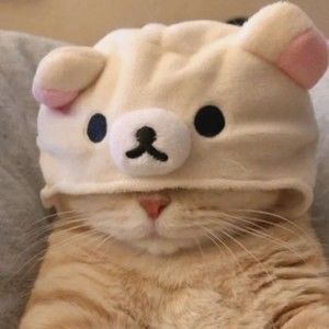 Meet your Posher, Carl